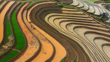 Obraz premium Hmong farmers prepare their fields and plant rice on terraced fields in Mu Cang Chai, Yen Bai. Photo taken in Yen Bai on June 22, 2025.