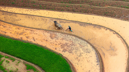  Hmong farmers prepare their fields and plant rice on terraced fields in Mu Cang Chai, Yen Bai....