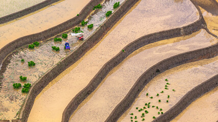  Hmong farmers prepare their fields and plant rice on terraced fields in Mu Cang Chai, Yen Bai....