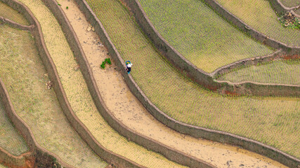  Hmong farmers prepare their fields and plant rice on terraced fields in Mu Cang Chai, Yen Bai. Photo taken in Yen Bai on June 22, 2025.

