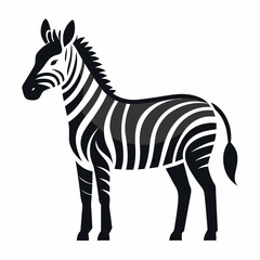 Obraz premium zebra vector illustration