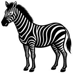 Obraz premium zebra vector illustration