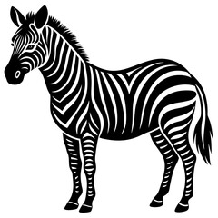 Fototapeta premium zebra vector illustration