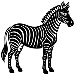 zebra vector illustration