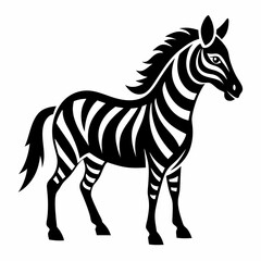 zebra vector illustration