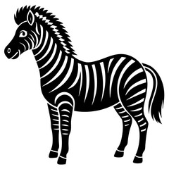 zebra isolated on white