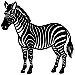 Fototapeta premium zebra isolated on white