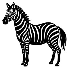 Obraz premium zebra vector illustration