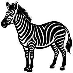 Fototapeta premium zebra vector illustration