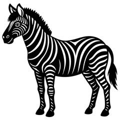 Obraz premium zebra vector illustration