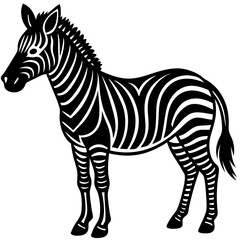 Obraz premium zebra isolated on white