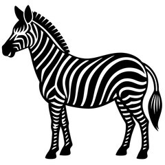 Obraz premium zebra vector illustration