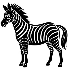 Fototapeta premium zebra vector illustration