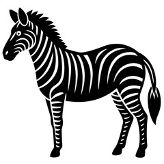 Obraz premium zebra vector illustration