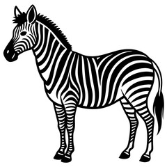Obraz premium zebra vector illustration