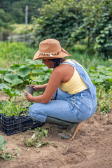 vertical Latin farmer woman planting seedlings in her orchard