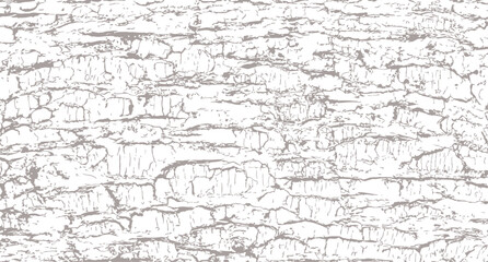 Tree bark texture
