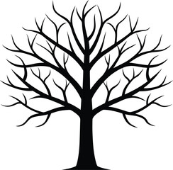 Obraz premium Bare winter tree with an intricate branch pattern