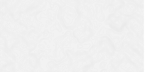 Subtle white texture background with fine lines and delicate patterns creating a soft and neutral effect modern topo.