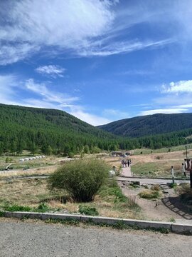 road in the mountains,bogd uul,mongolia,forest