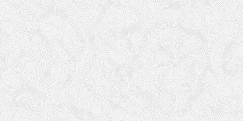 Subtle white texture background with fine lines and delicate patterns creating a soft and neutral effect modern topo.