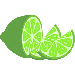 Lime Fruit Illustration