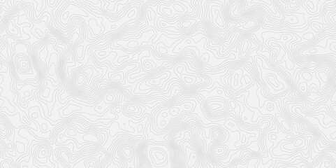 Subtle white texture background with fine lines and delicate patterns creating a soft and neutral effect modern topo.