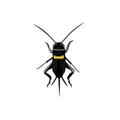 black cricket top view vector illustration