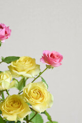 ピンクと黄色のばら