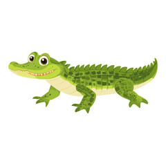 Obraz premium Vector illustration of American Alligator crocodile alligator reptile vector