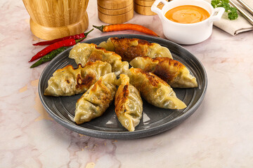 Japanese fried Gyoza stuffed dumplings