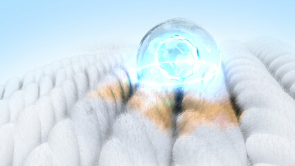 Fototapety na wymiar - Fototapeta24.pl