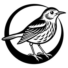 Fototapeta premium bird on a branch