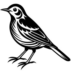 Obraz premium vector illustration of a bird