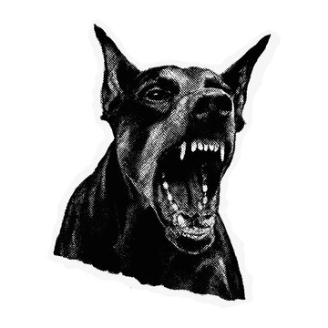 Fierce black dog illustration  vector