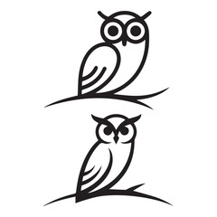 owl on a tree branch