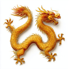 Obraz premium Majestic Golden Dragon Illustration , white background cut out PNG
