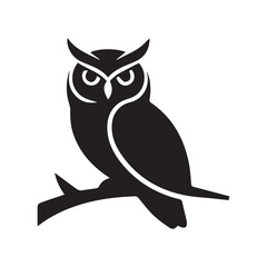 owl on white