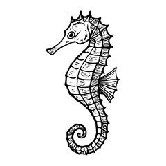 Fototapeta premium Intricate seahorse line drawing vector