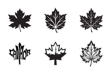 Canada Maple Leaf Shape set collection pack black icon silhouette vector flat illustration design on white background