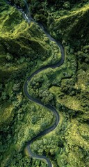 Obraz premium Winding road through lush green valley (1)