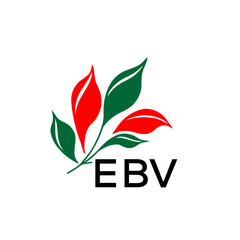 EBV Abstract Botanical Logo with Elegant Typography, EBV  Later Logo, Modern Nature Inspired Logo with Red and Green Leaves.
