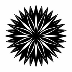 Fototapeta premium black and white snowflake