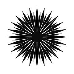 Fototapeta premium black and white circle