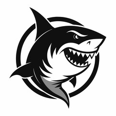 Fototapeta premium shark vector illustration