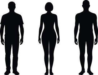 Male and Female Body Silhouettes: Human Figures for Anatomy & Design.