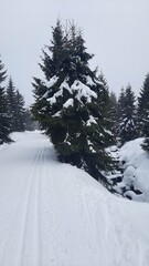 cross-country skiing track