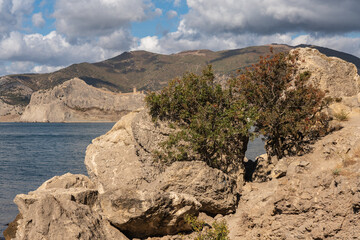 Rocky coast of Black Sea. Coastal scene with steep cliffs and large boulders of Cape Alchak rises...