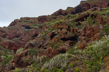 Cave-filled volcanic slope in Tenerife
