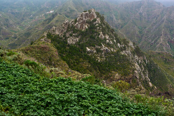 Roque de los Pinos landscape